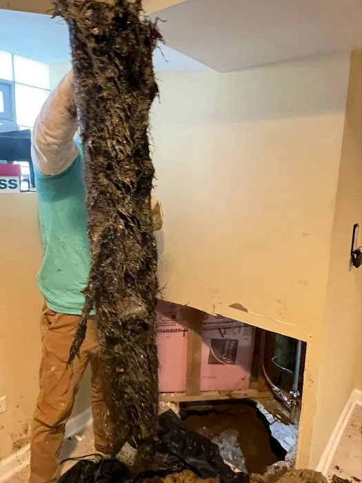 All Pro Plumbing Picture 10
