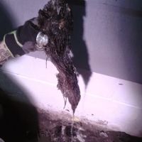 Russell's Service Plumbing ico
