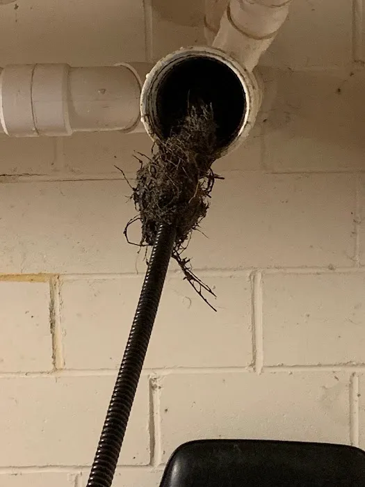Ohana Sewer & Drain Picture 2