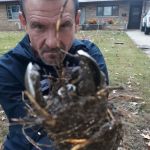 Miller Sewer Cleaning