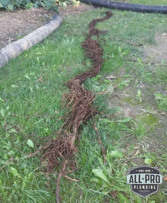 All-Pro Plumbing, Inc. Picture 8