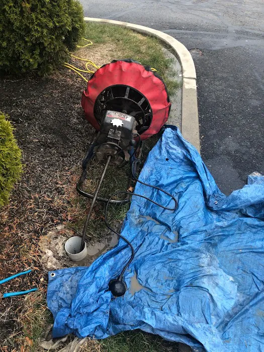 Grateful Plumber Picture 9