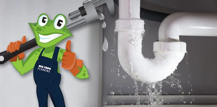 Big Frog Plumbing Picture 2