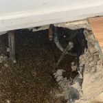 L. D. Smith Plumbing & Drains