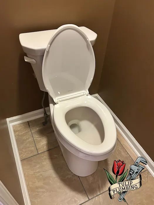 Tulip Plumbing Picture 1