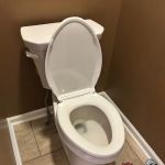 Tulip Plumbing