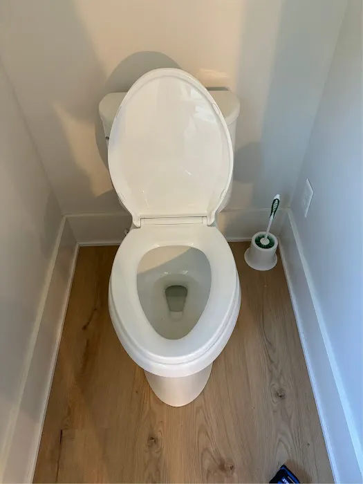 Go With The Flo Plumbing Picture 2