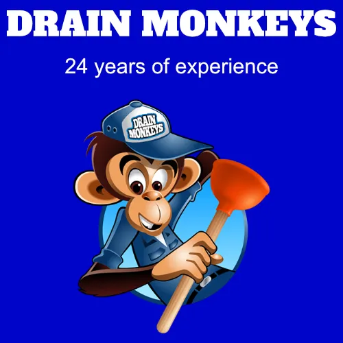 Drain Monkeys Picture 1