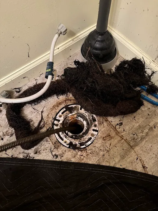 Drain Monkeys Picture 5