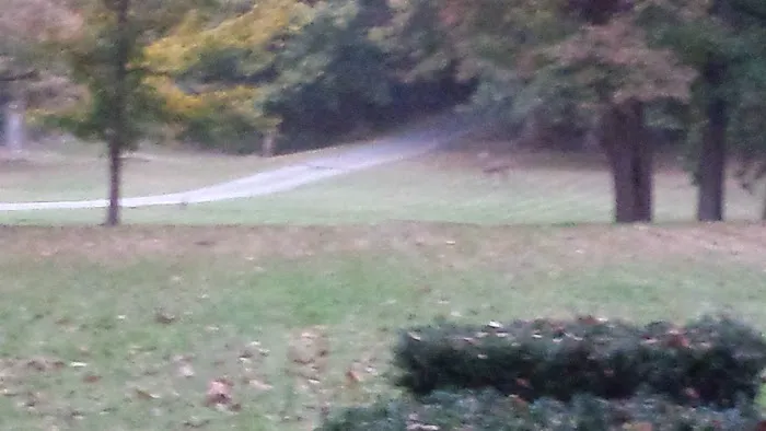 Sullivan & Sons Septic & Sewer Picture 1