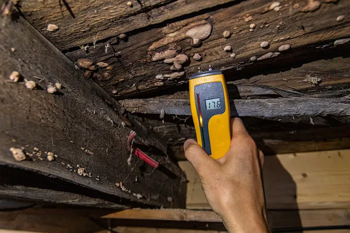 Indiana Leak Detection Picture 4