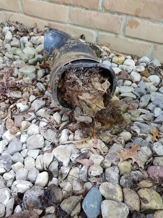 Marshalls plumbing & sewer Picture 2