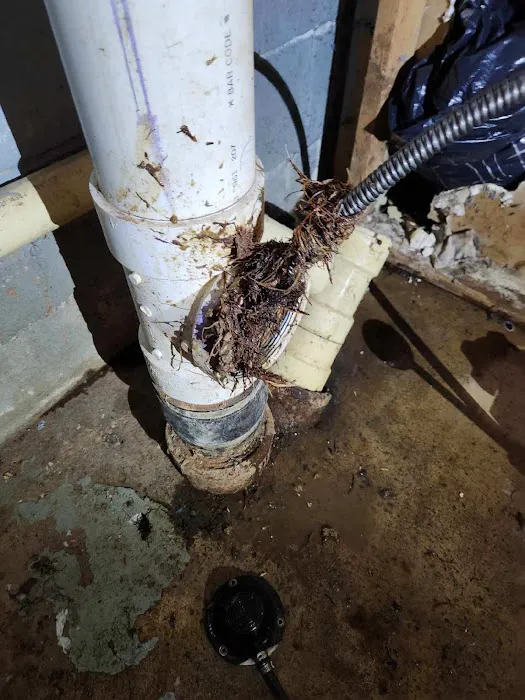 Rhino's Rooter and Drain Cleaning Picture 3