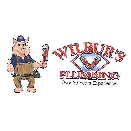 Wilbur's Plumbing Picture 2