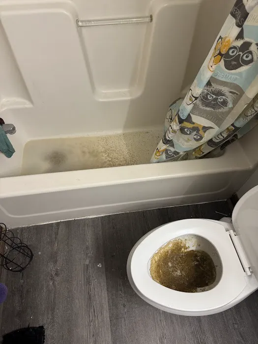 Hoosier Drain Cleaners LLC Picture 7