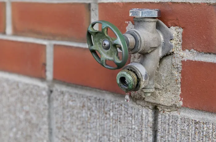 Wellington Sewer & Drains LLC Picture 5