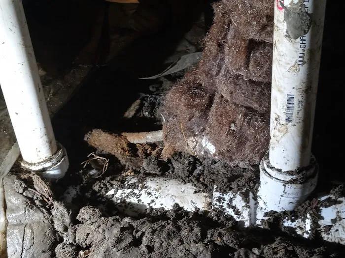Charlie's chs sewer and drain Picture 7