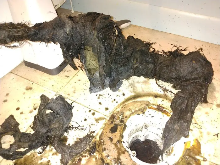 DrainZ LLC. Picture 8