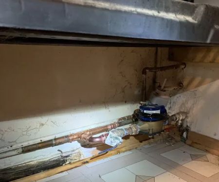 Mr. Rooter Plumbing of Toledo