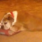 TD Richards Plumbing