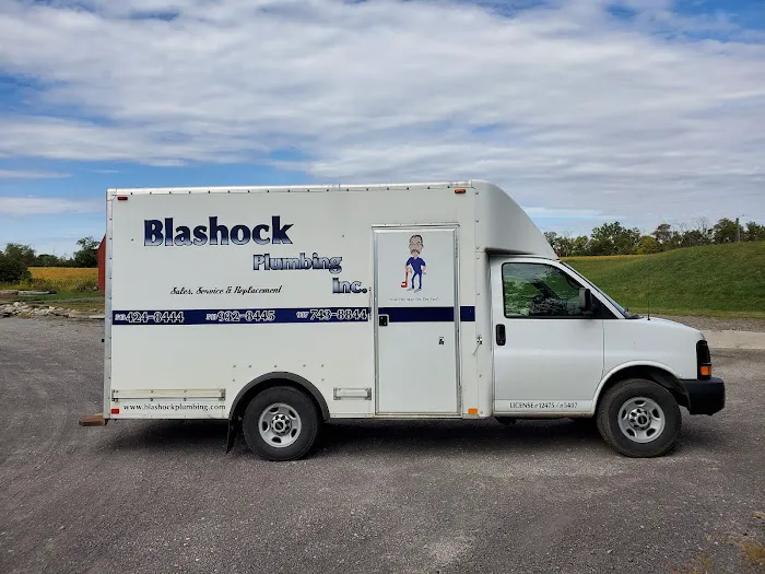 Blashock Plumbing, Inc. Picture 2