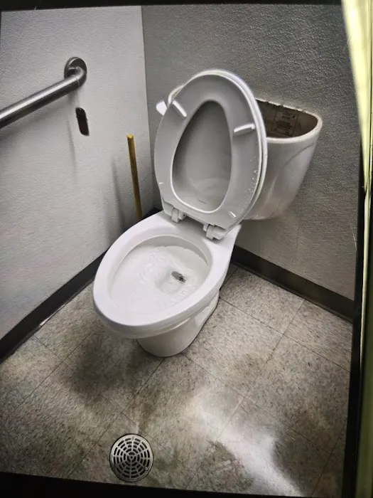 1-Tom-Plumber Picture 3