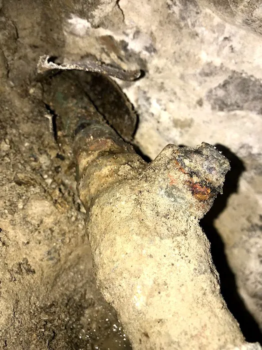 Spotlight Sewer and Drain Cleaning Picture 5