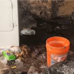 Any drain unplugged