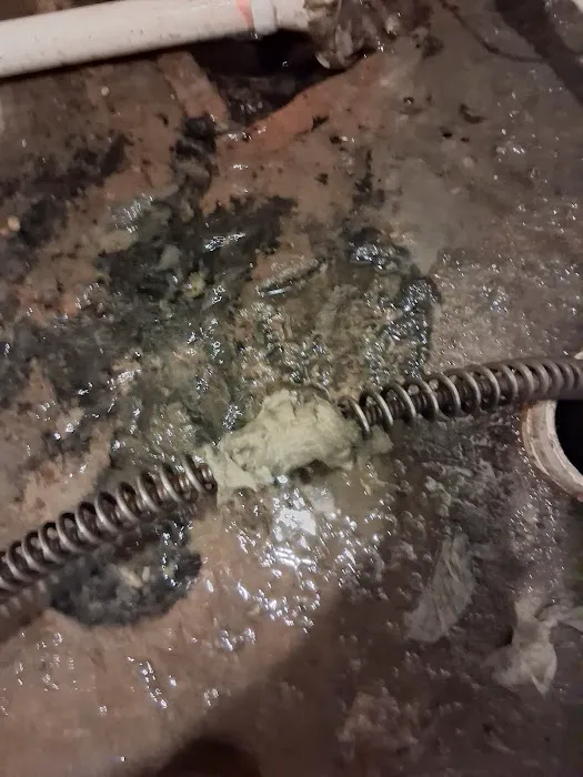 Any drain unplugged Picture 2