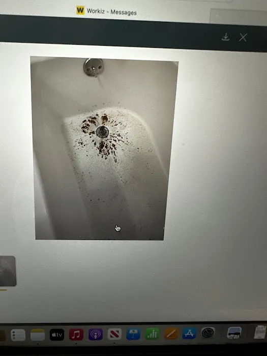 Drain Doctor Picture 3