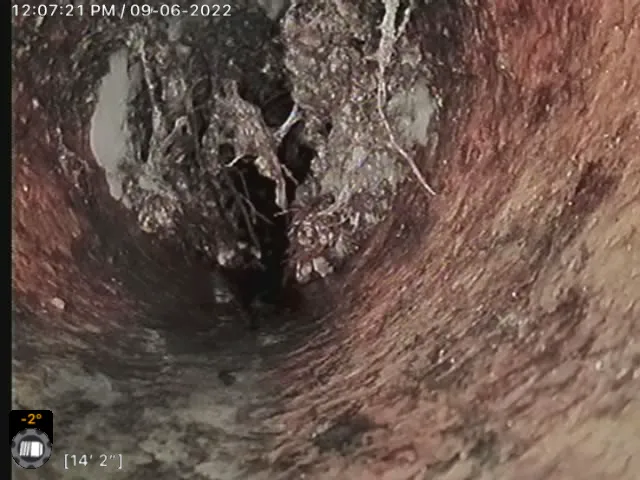 Freedom Drain Solutions LLC Picture 3