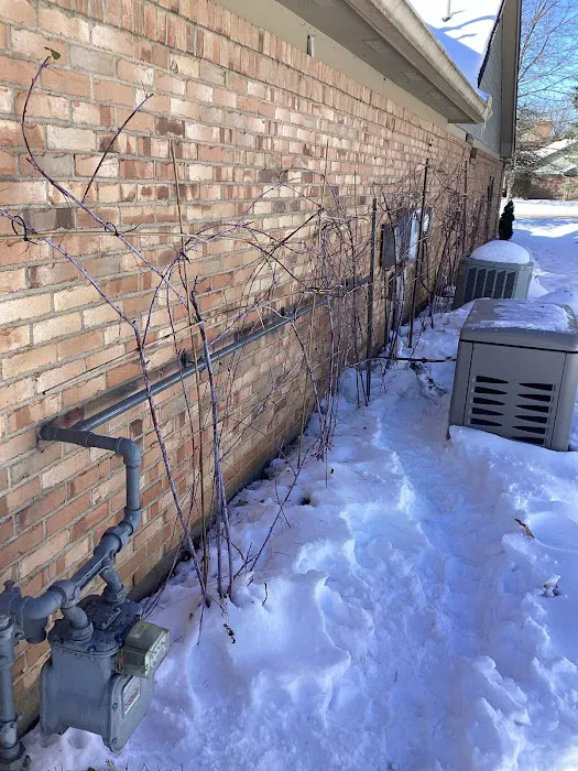 Evergreen Plumbing & Drains Picture 3