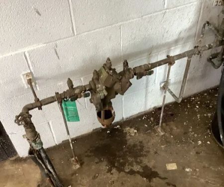 Backflow Pros