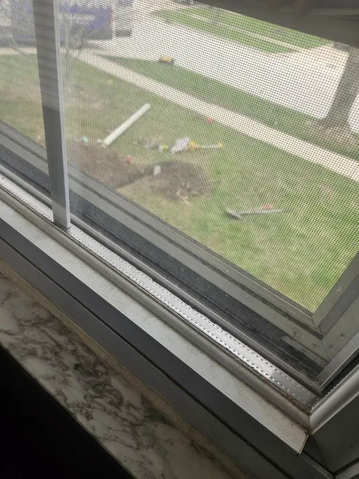 Roto Rooter Plumbing & Drain Service Picture 9