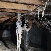 Z Plumberz of Toledo ico