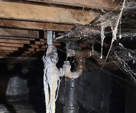 Z Plumberz of Toledo