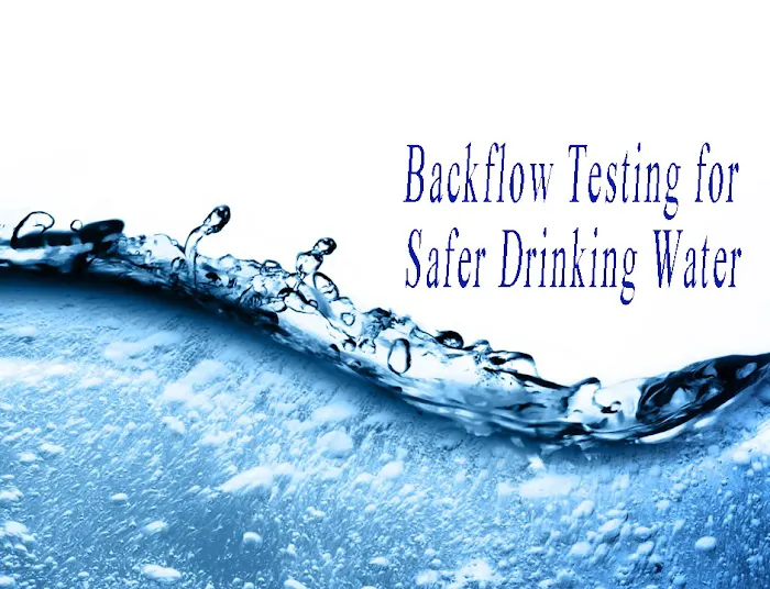Backflow Guy Picture 1