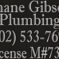 Shane Gibson Plumbing ico