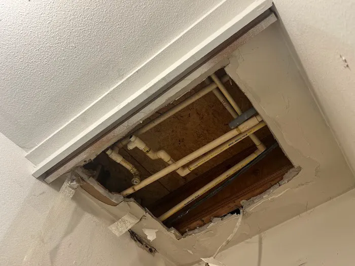 1-Tom-Plumber Picture 10