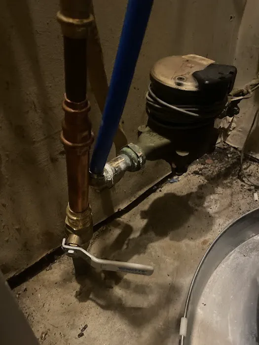 Honey Go Fix It Picture 4
