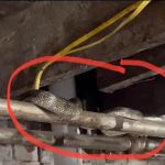 Kirk Vincent Plumbing, LLC.