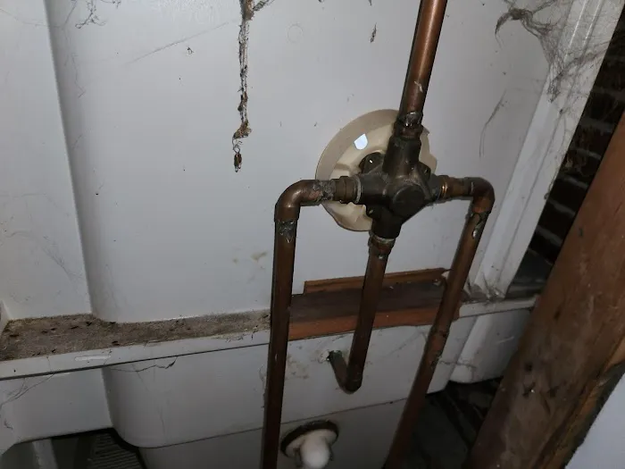 The Vitruvian Plumber Picture 5