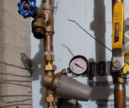 Plumb Crazy