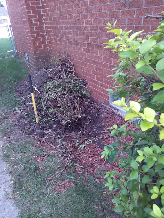 Westland Plumbing & Drain Picture 7
