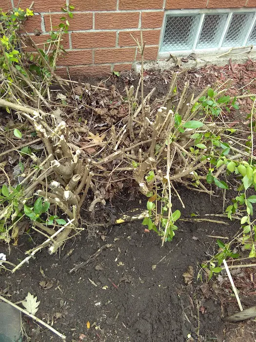 Westland Plumbing & Drain Picture 6