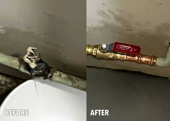 1-Tom-Plumber Picture 4