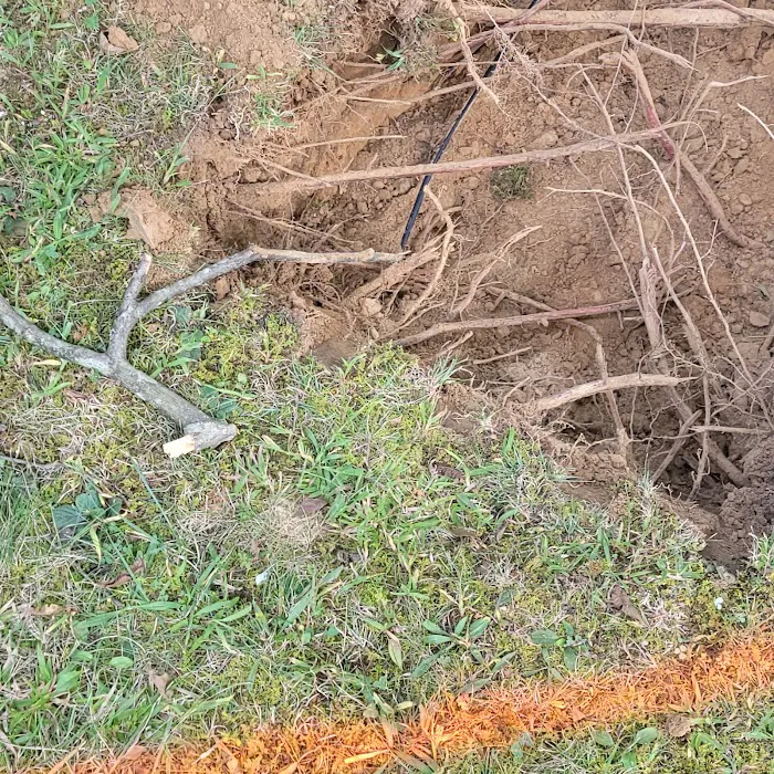 Allen Mudd Plumbing Picture 5