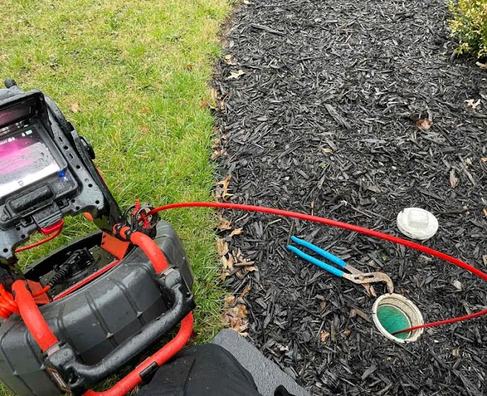 1-Tom-Plumber Picture 4