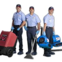 Roto-Rooter Plumbing & Water Cleanup ico