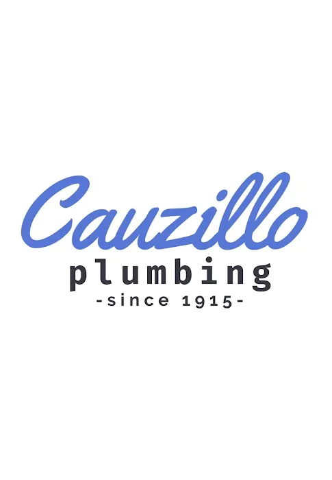 Cauzillo Plumbing Inc Picture 3